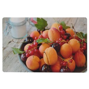 IH Casa Decor Multicoloured 16.75-in x 10.75-in Apricots Plastic Placemats - Set of 12