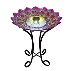 Hi-Line Gift 21-in x 18-in Pink Dahlia Glass Solar-Powered LED Birdbath with Stand