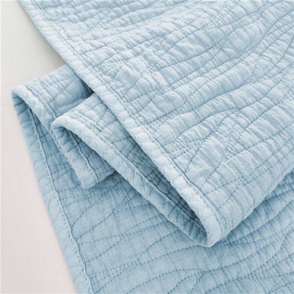 Gouchee Home Carson Blue Twin Quilt Set - 2-Piece
