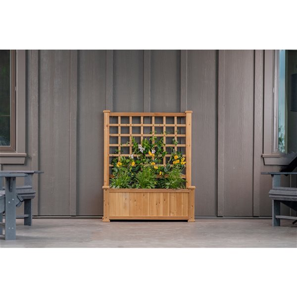 Jardinière mordorée Rosewood par Vita de 38 po x 46 3/4 po en cèdre avec treillis