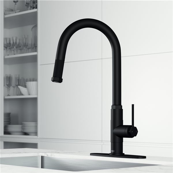 VIGO Hart Arched Single Handle Pull Down Kitchen Faucet and Deck