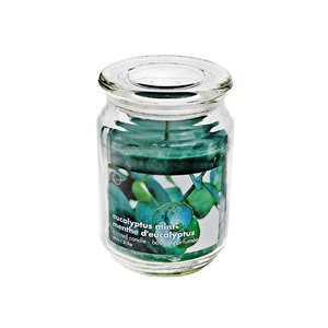 Chandelle parfumée dans un pot de verre de 18 oz par iH casadécor, eucalyptus et menthe, paquet de 2