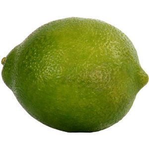IH Casa Decor Artificial Lime Fruits - Set of 4