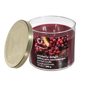 iH casadécor 14 Oz Jar Candle with Lid - Cranberry Delight - Set of 2