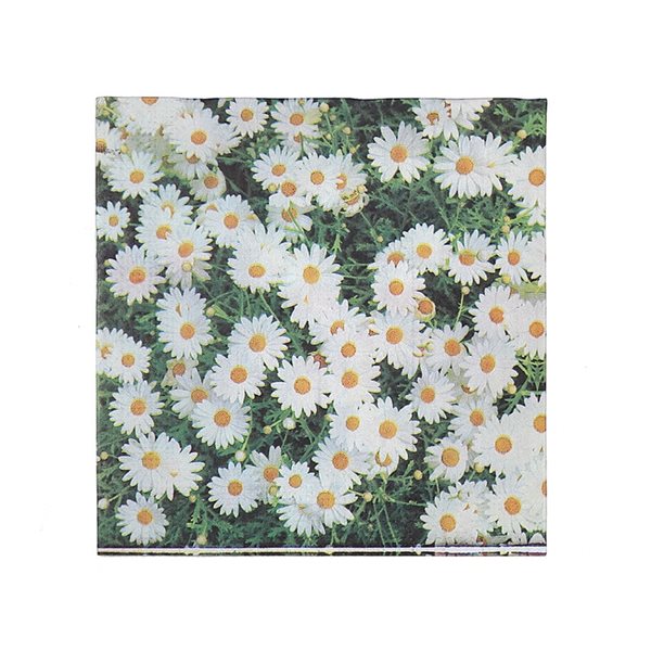 iH casadécor Luncheon Daisy 20-Pack 3-Ply Napkins - Set of 6