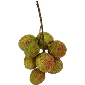 IH Casa Decor Artificial Lychee Fruits - Set of 4