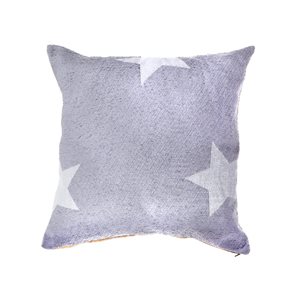 IH Casa Decor 18-in x 18-in Grey Decorative Cushions - Set of 2