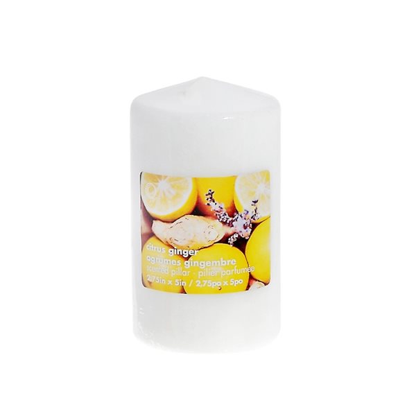 Pilier parfumé au gingembre citronné de iH casadécor, paquet de 2