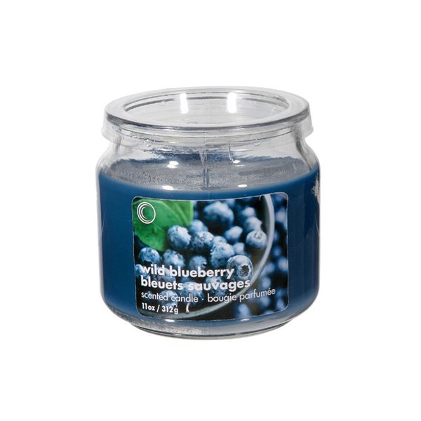 iH casadécor Wild Blueberry Scented Jar With PVC Lid- Set of 2