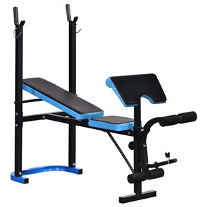 Soozier Sit Up Bench, Workout Bench Abdominal Trainer with Resistance Bands  and Reverse Crunch Handle, Adjustable Benches -  Canada