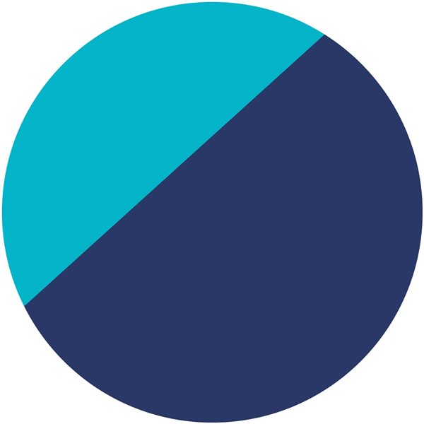 Vivere Navy Nylon Portable Parachute Hammock with Built-In Pockets