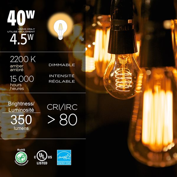 Luminus 40 Watt Equivalent G25 Dimmable Vintage Filament Bulb 2200K Amber (6-Pack)