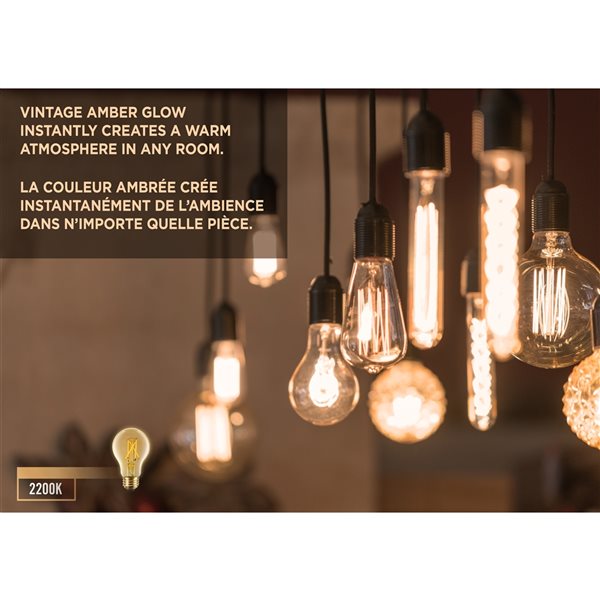 Luminus 40 Watt Equivalent G25 Dimmable Vintage Filament Bulb 2200K Amber (6-Pack)