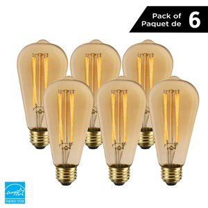 Luminus 40 Watt Equivalent Vintage ST19 Dimmable Bulb 2200K Amber (6-Pack)