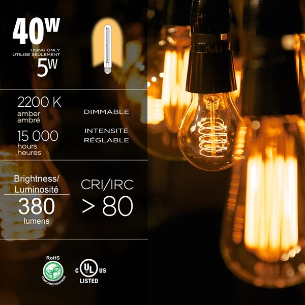 Luminus 40 Watt Equivalent Vintage T10 Dimmable Bulb 2200K Amber (6-Pack)