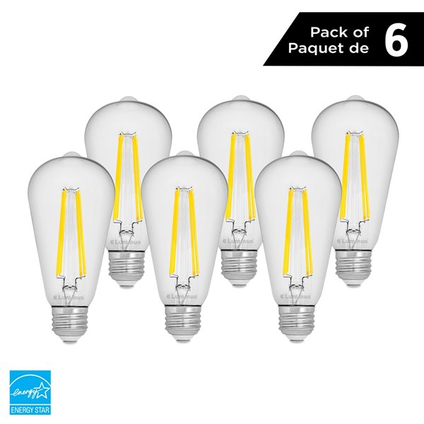 60 watt filament light bulb