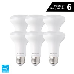 Luminus 50 Watt Equivalent R20 Dimmable Bulb 5000K Daylight (6-Pack)