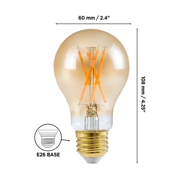 Ampoule à DEL A19 vintage équivalent à 60W réglable 2200K ambré par Luminus, paquet de 6