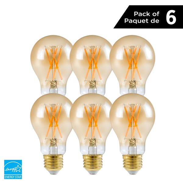 Luminus 60 Watt Equivalent A19 Dimmable Vintage Filament Bulb 2200K Amber (6-Pack)