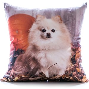 Gouchee Home Pomeranian 18-in x 18-in Square Cream/Brown Throw Pillow