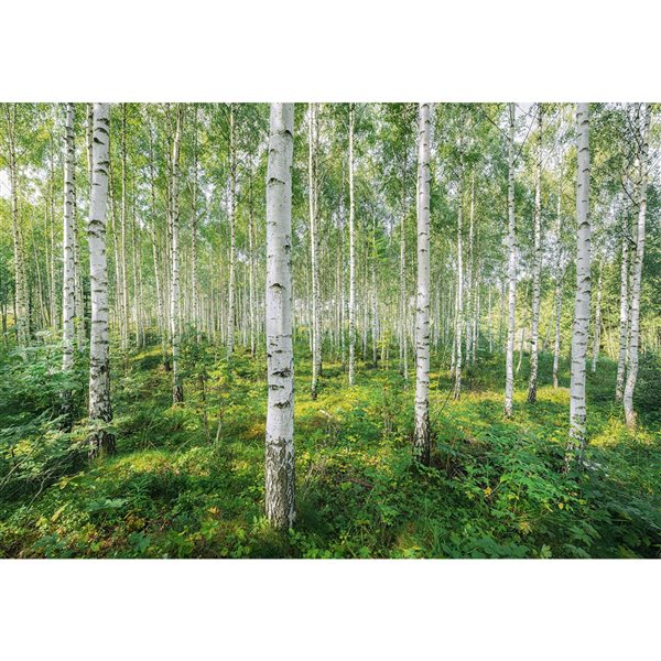 Komar 144-in W x 99.6-in H Unpasted Green Scenic Wall Mural