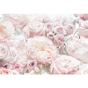 Komar 145.2-in W x 100.8-in H Unpasted Pink Floral Wall Mural