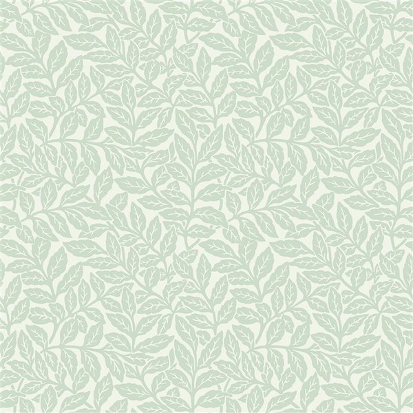 Crown Ashe . ft. Light Green Paper Ivy/Vines Unpasted Wallpaper  M1179 | RONA