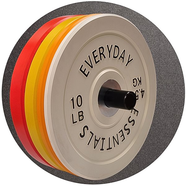 Everyday Essentials Colour-Coded 55-lbs Red Fixed-Weight Olympic Single Plate