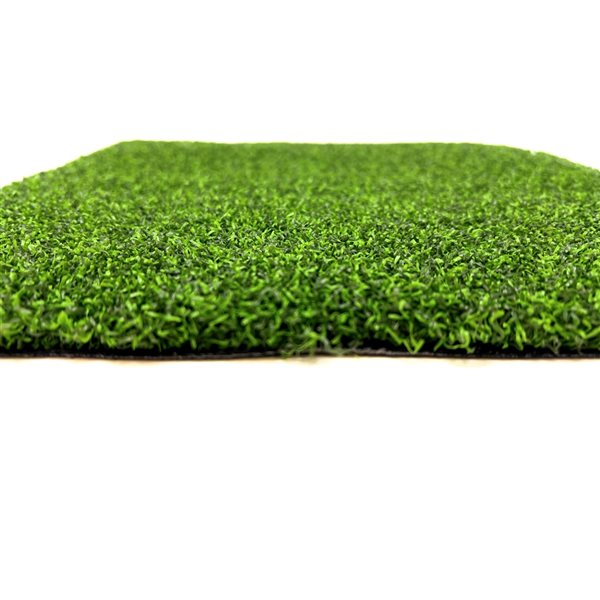 Trylawnturf Putting Green Max 20 x 12-ft Synthetic Turf