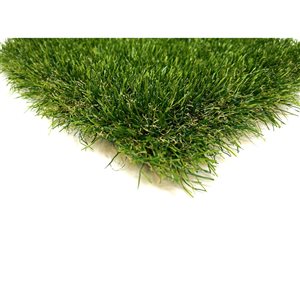 Gazon synthétique Oasis Maxx par Trylawnturf de 25 pi x 13 pi