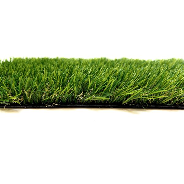 Trylawnturf Cruz 25 x 12-ft Green Artificial Grass