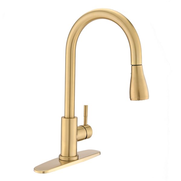 Dornberg Brushed Gold 1-Handle Deck Mount Pull-down Commercial/Residential Kitchen Faucet (Deck Plate Included)