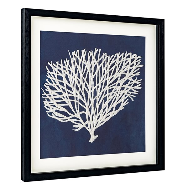 Gild Design House 26in x 26in Sea Fan II HandPainted Shadow Box 01