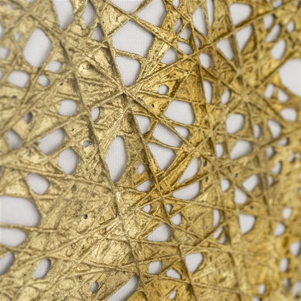 Gild Design House 36-in x 24-in Auric Cosmos Hand-Painted Shadow Box