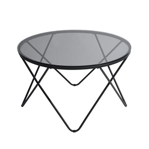Homycasa Canales Black Metal and Glass Coffee Table