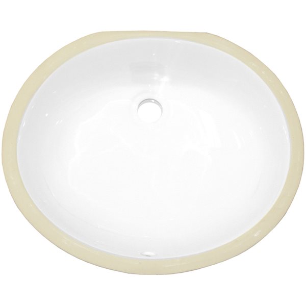 American Imaginations 16 1/4-in x 19 1/2-in White Ceramic Undermount Oval Bathroom Sink Set with Overflow