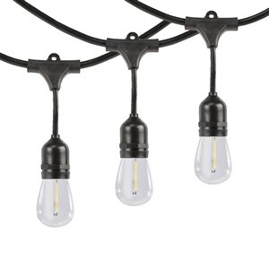 Westinghouse 48-ft 24-Light Clear Glass Plug-In Bulbs LED String Lights