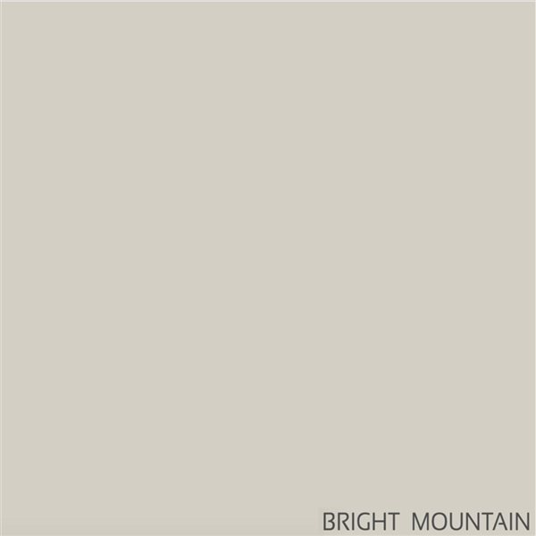 Grafclean Premium 4-L Ecological Matte Interior/Exterior Paint - Bright Mountain