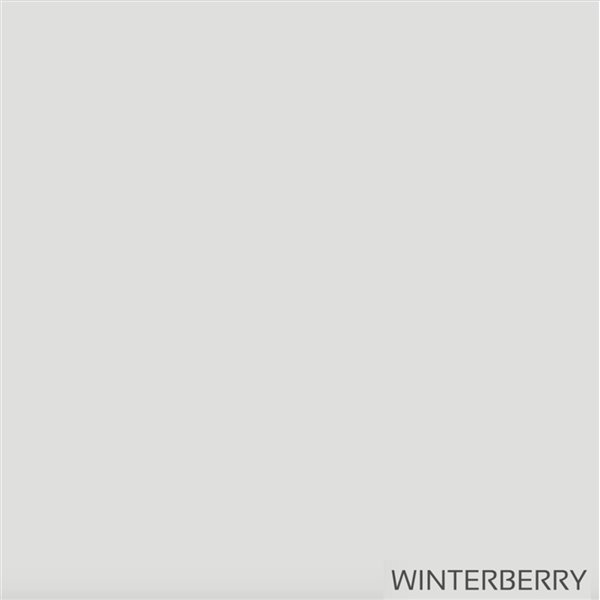 Peinture d'intérieur au fini mat Ecosphere Premium par Graphenstone, 1 litre, winterberry