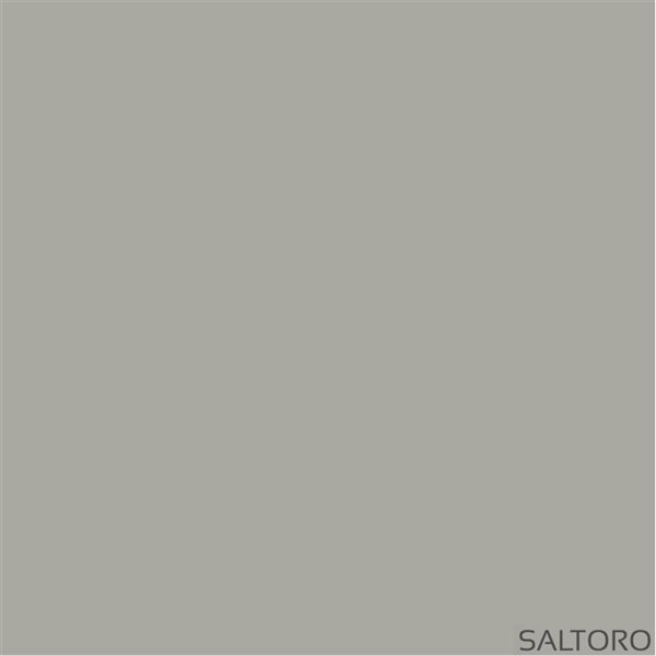 Grafclean MidShine Premium 0.75-L Ecological Semi-Gloss Interior/Exterior Paint - Saltoro