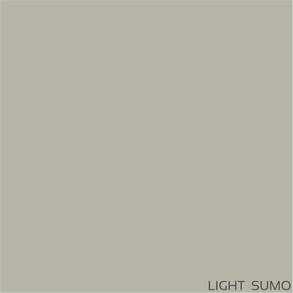 Grafclean MidShine Premium 4-L Ecological Semi-Gloss Interior/Exterior Paint - Light Sumo