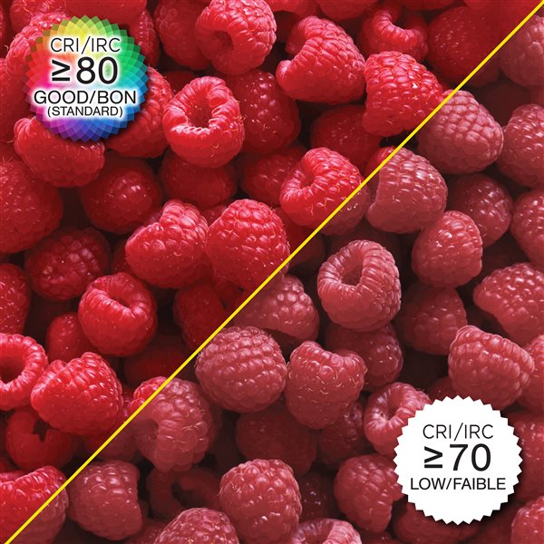 Luminus 25-Watt Equivalent A15 Warm White Dimmable LED Light Bulbs (12-pack)