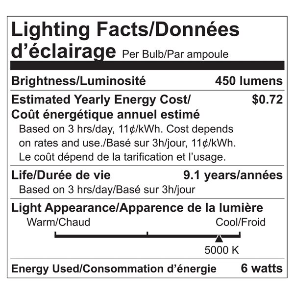 Ampoule à DEL A19 équivalent à 40 W de Luminus, lumière du jour (paquet de 24)