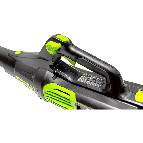 Greenworks 60 volt 2024 leaf blower