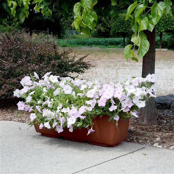 RTS Home Accents 30-in x 10-in Rectangular Planter - Terra Cotta