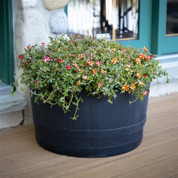 RTS Home Accents Polyethylene Whiskey Barrel Planter - Black