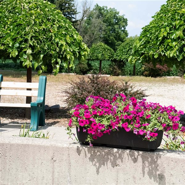 RTS Home Accents 30-in x 10-in Rectangular Planter - Black