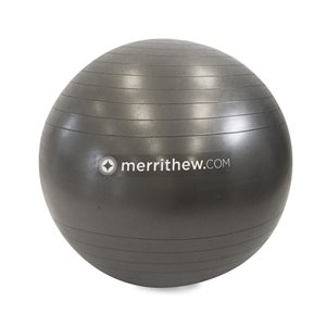 Merrithew 29-in Grey Stability Ball with Pump