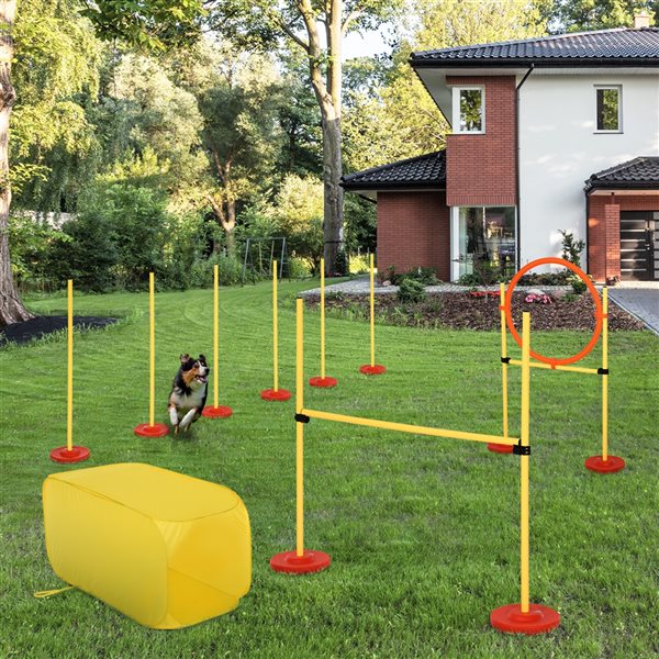 Pawhut Intermediate Dog Park Agility Course Kit - 4-Piece