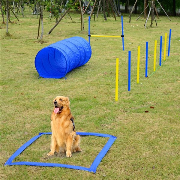 Pawhut Intermediate Dog Park Agility Exercise Kit - 8-Piece